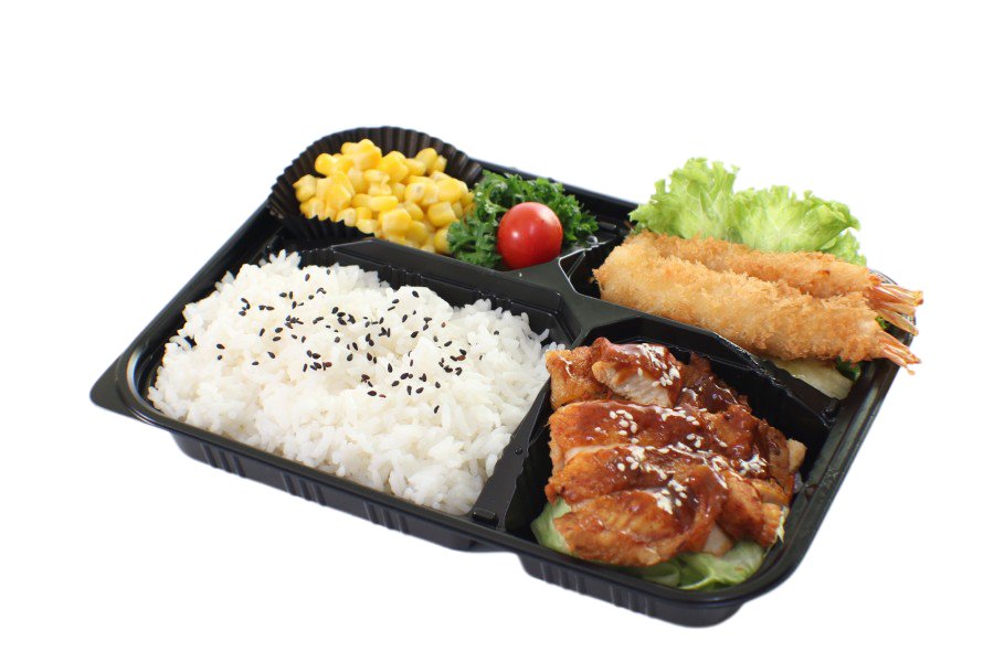 V4 TERIYAKI CHICKEN.VALUE_SET