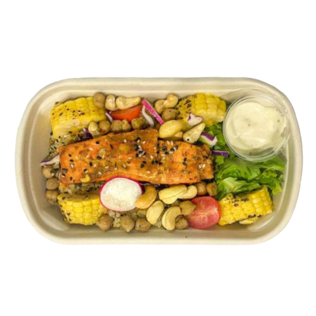 S1 TERIYAKI SALMON.SET_LUNCH